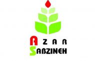 آذر سبزینه