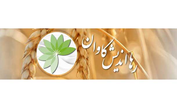 رها اندیش کاوان