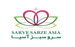 سرو سبز آسیا