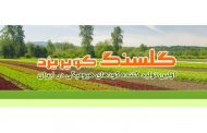 فن آوری معدنی گلسنگ کویر یزد
