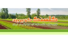 فن آوری معدنی گلسنگ کویر یزد