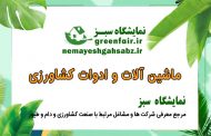 شرکت میوه تابان