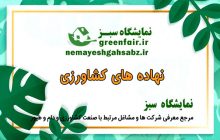 حاصل نوین