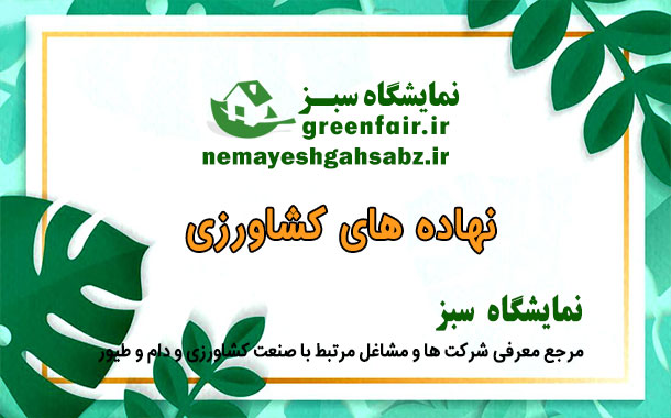 حاصل نوین