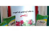 ژوبین