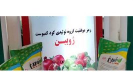 ژوبین